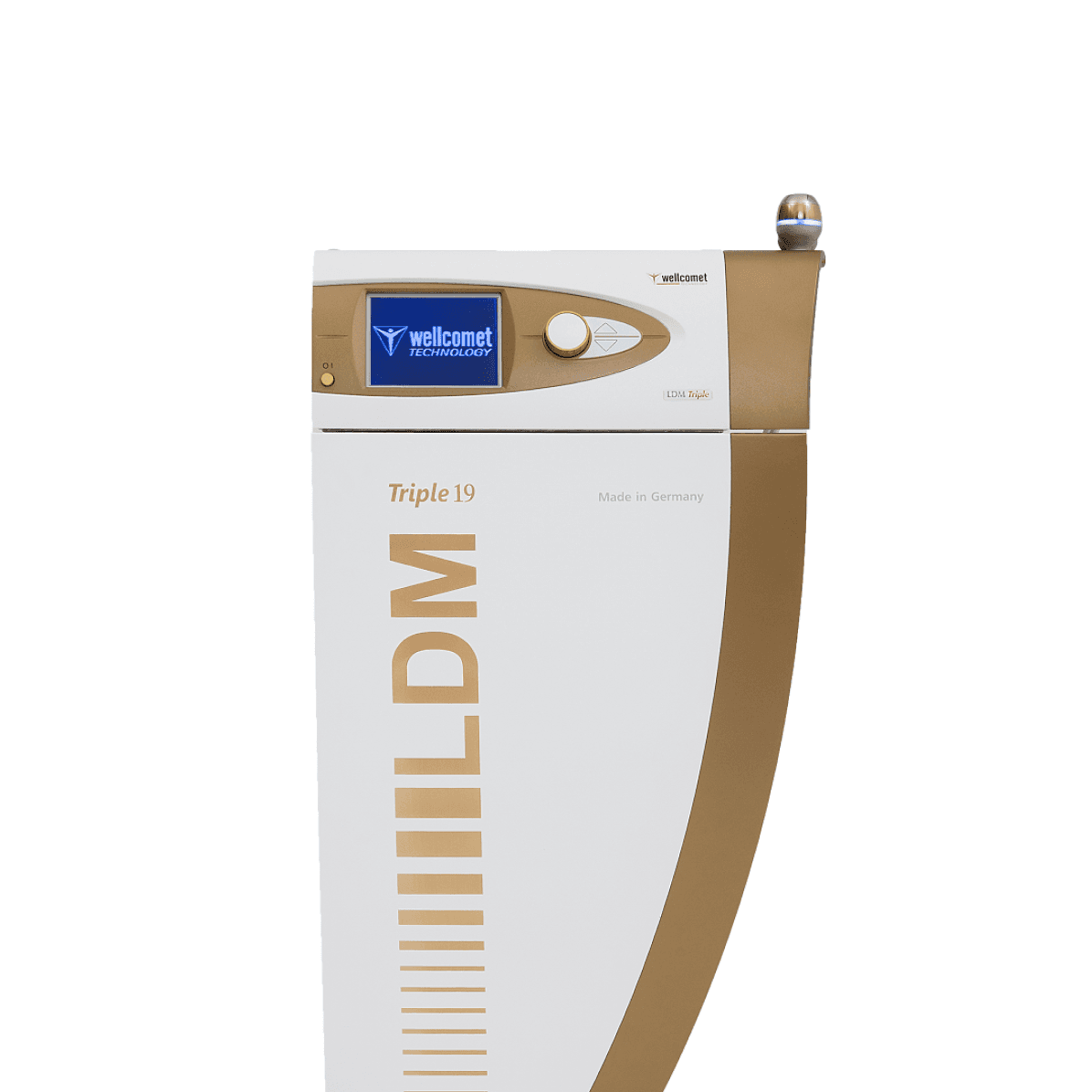 LDM